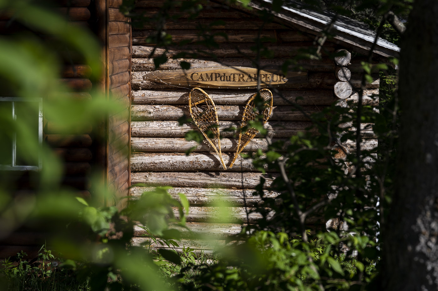 Chalet de bois rond